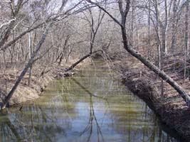 Creek as seen from bridge