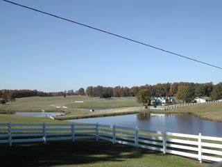 House at Green Cove Farm - View across ponds
