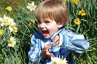 Boy in field of Daffodils