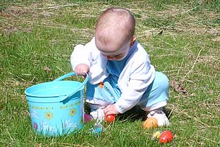 Egg Hunt