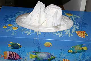 Battered tissue box